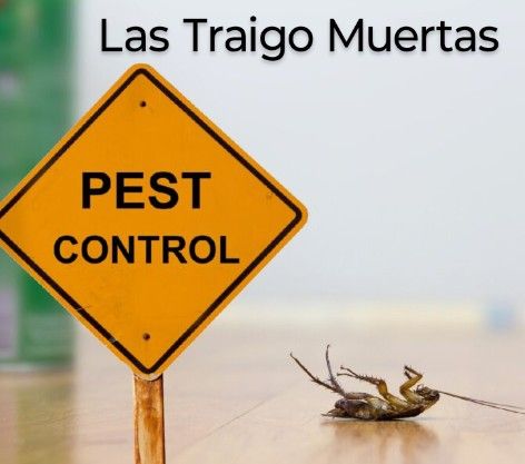 Fumigasiones