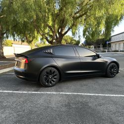 Car Customs