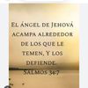 jose Ricardo