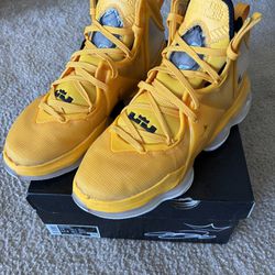 Lebrons (size 13)