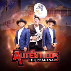 Grupo Norteño Disponible