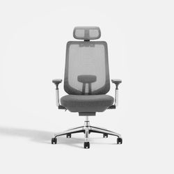 Colamy Atlas Office Chair - Dark Gray - Brand New in Box
