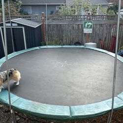 14 Ft Trampoline - Great Condition 