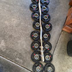 Olympic Weights Curl Bar Set
