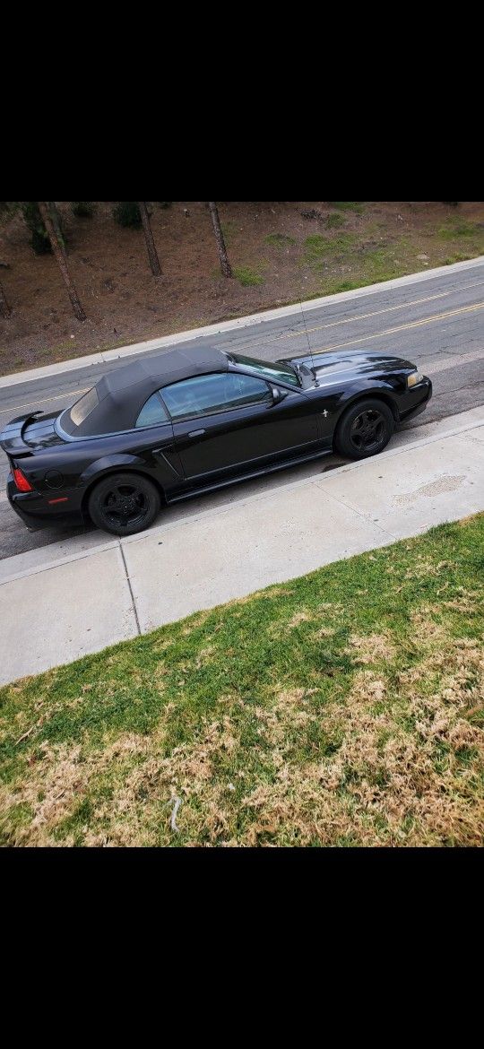 2002 Ford Mustang