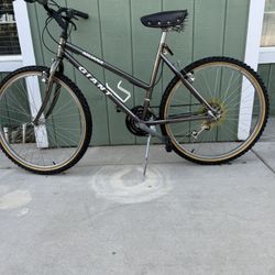 Giant Iguana mountain bike