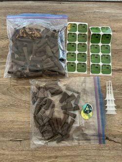 Seed Starters For Hydroponic Growing