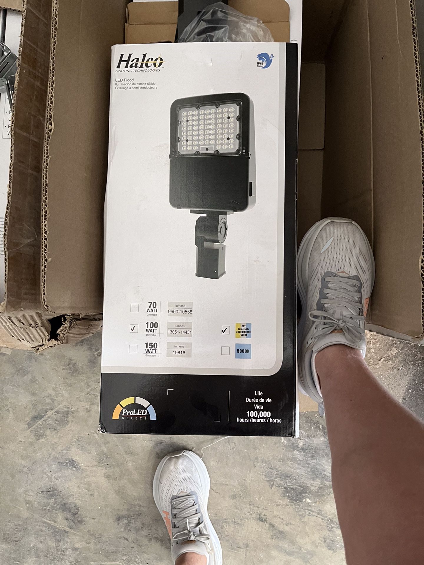New In The Box 100 W Flood Light