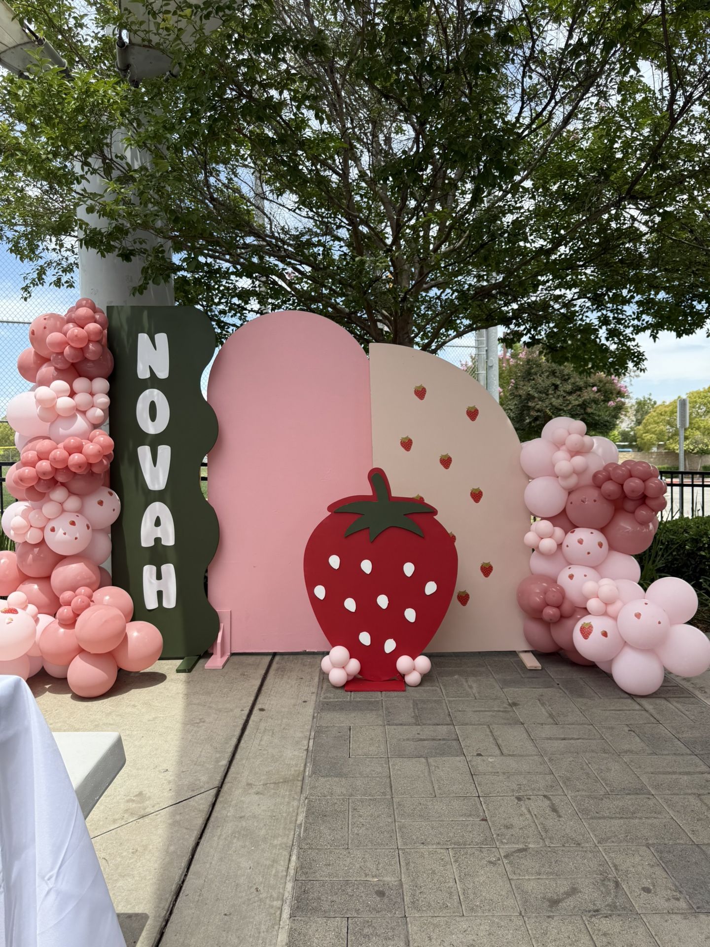 First Berry Set Up 