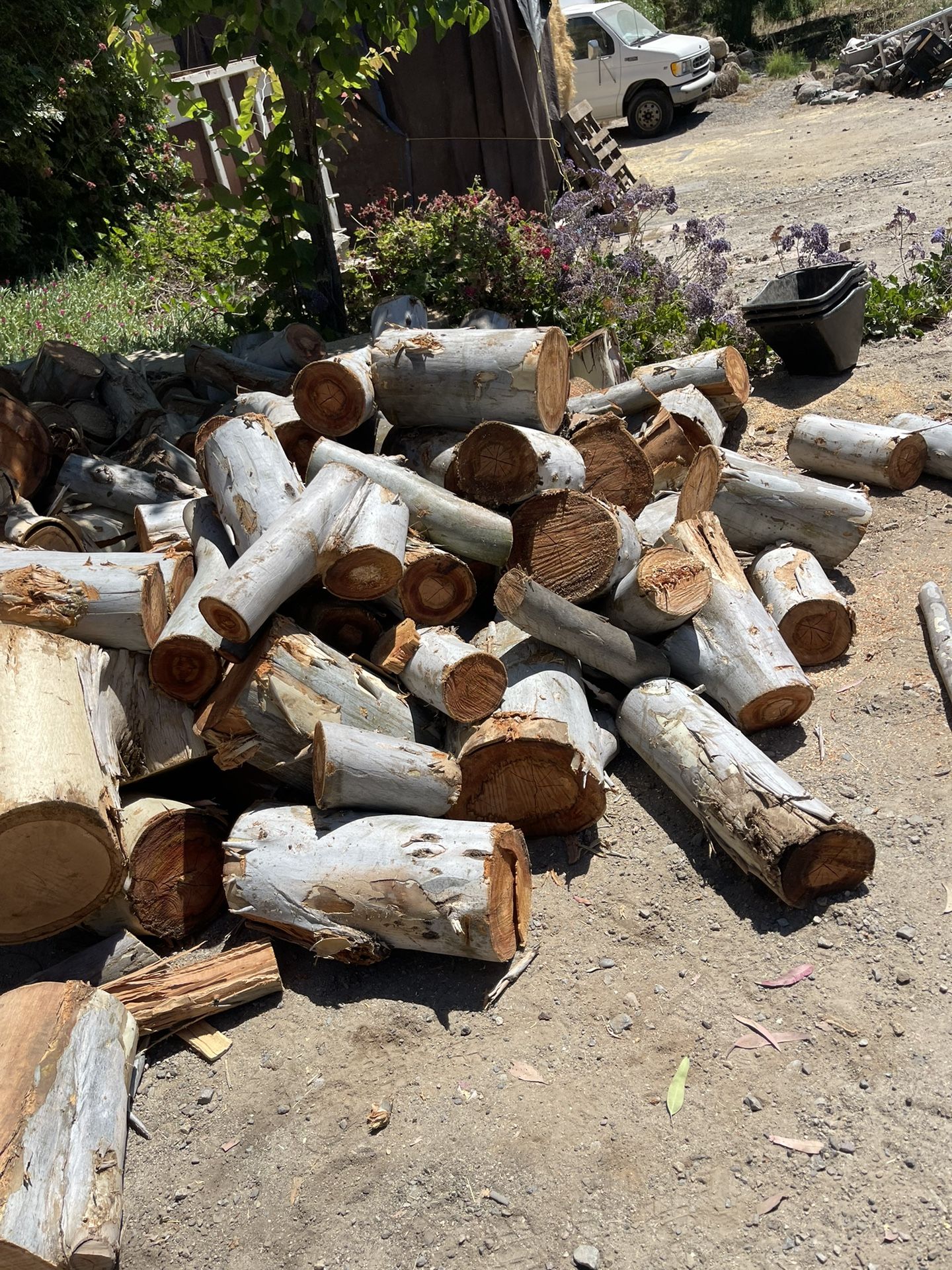 Oak And Eucalyptus Firewood