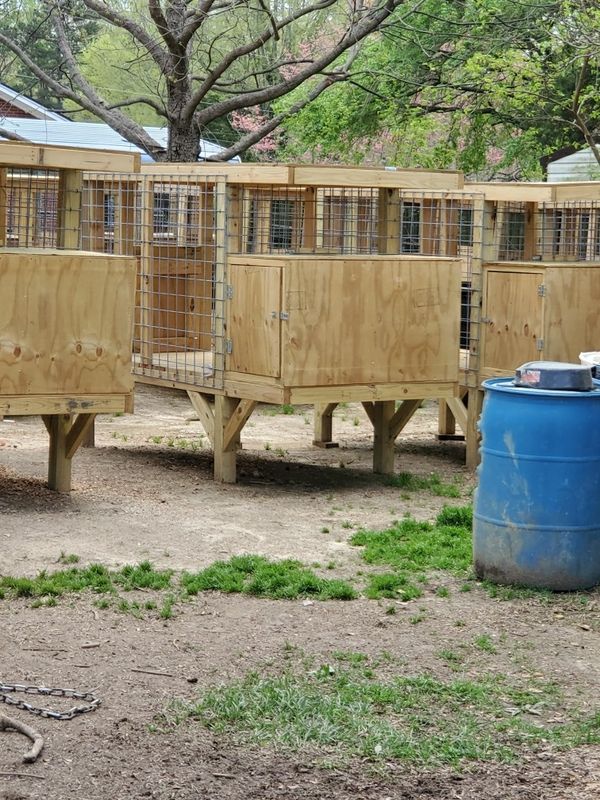 Off the Ground Dog Kennels for Sale in High Point, NC OfferUp