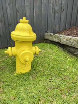 Cast Iron Fire Hydrant-RETIRED