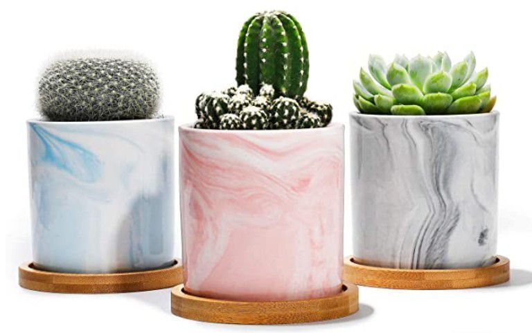 Succulent Plant Pots - Set of 3