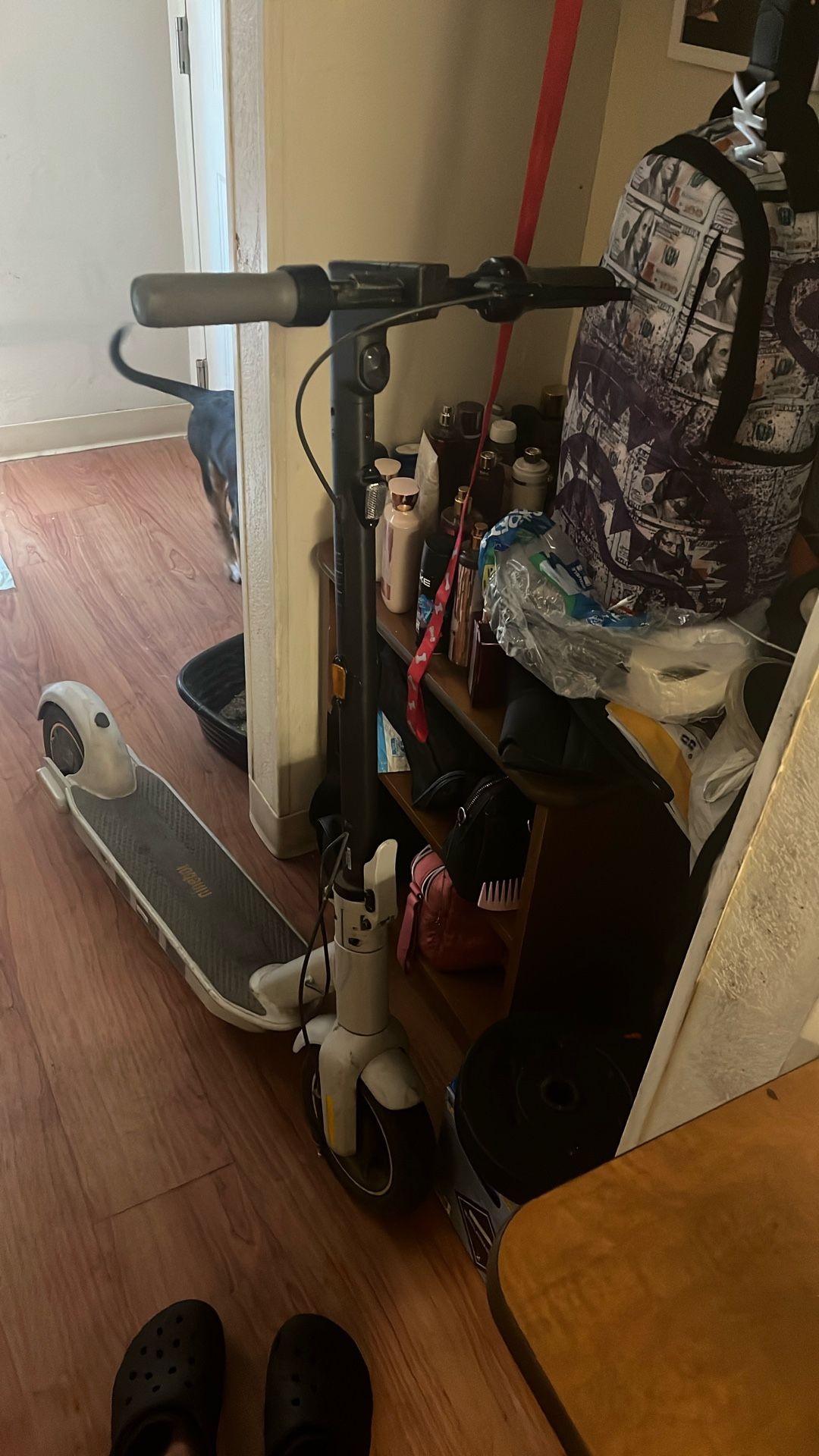 Ninebot electric scooter