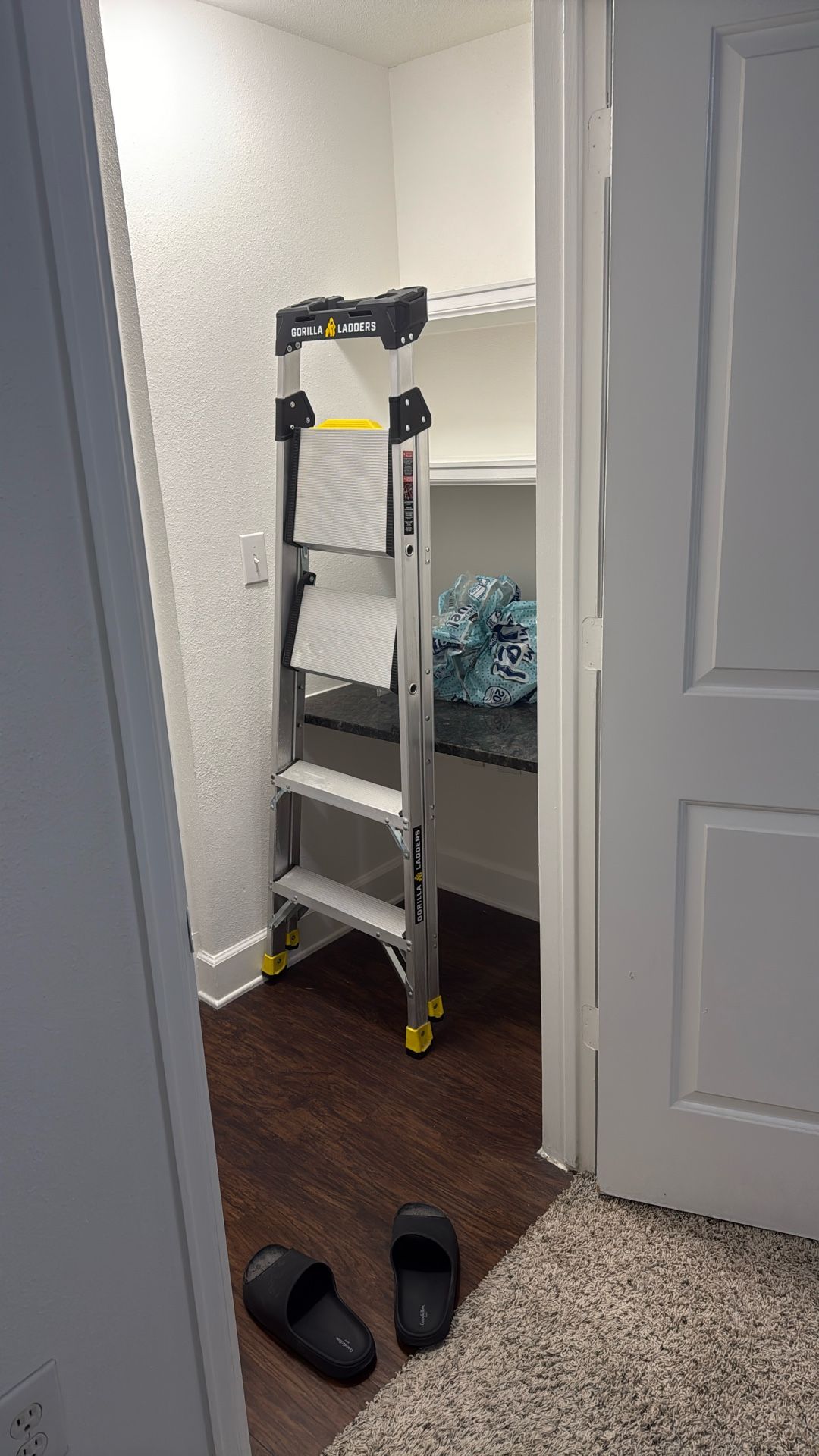 Ladder