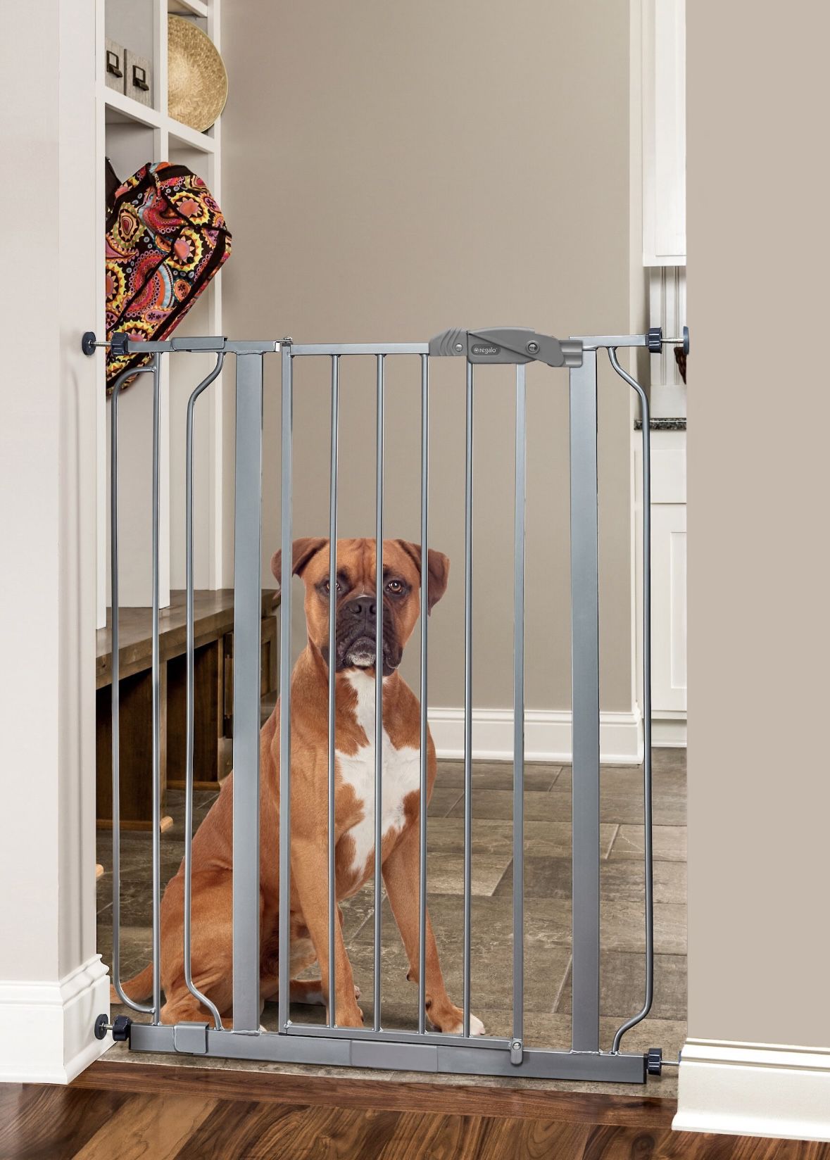 Regalo Child/Pet Gate and Dog Training Bowl