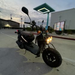Honda Ruckus 
