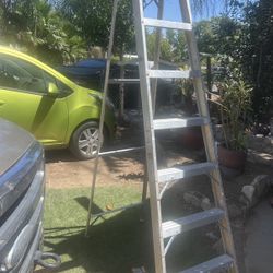 Ladder 
