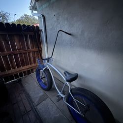 Custom Beach Cruiser 