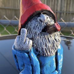 The middle finger gnome