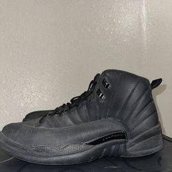 Winterized Jordan 12s 