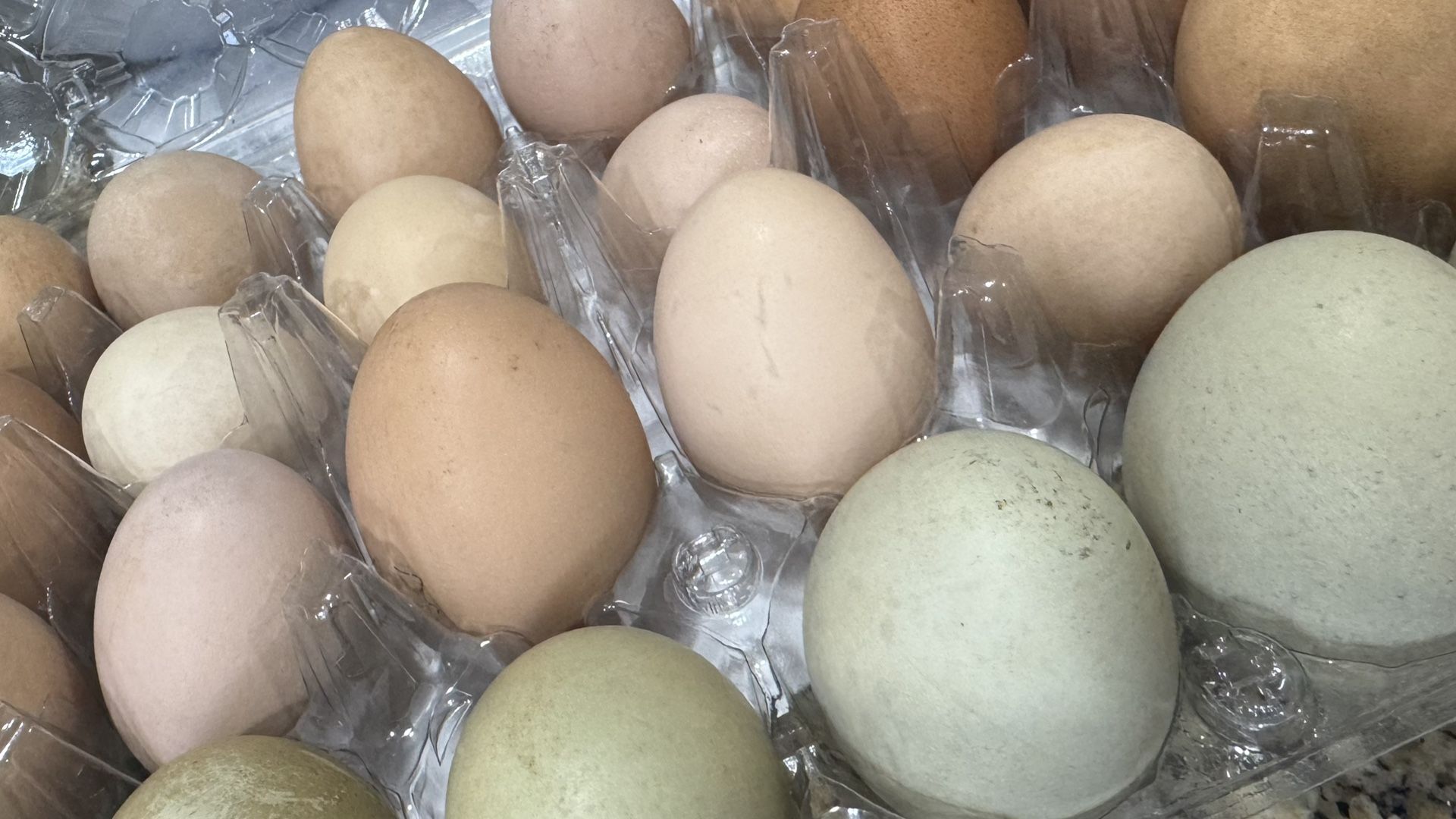 Farm Fresh Eggs- Chicken /Duck/Goose