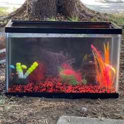 Fish Tank