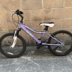 Diamondback Kids Mountain Bike