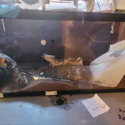 12"x48"x20"tall Terrarium 