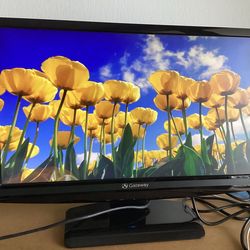 Gateway 22 Inch Monitor,  VGA, DVI and AUX Connections, Built-In Speakers