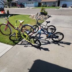 Bikes Kids And Adult 