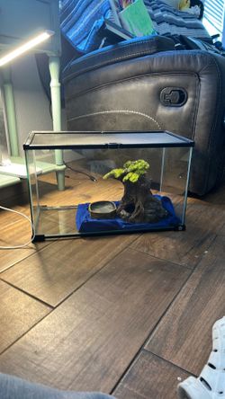 15 gallon lizard tank