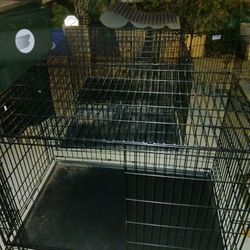 Dog Crates Large, Xlarge, Medium, Small $20 Small Up to $85 Santa Clarita