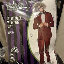 Adult Halloween Costume