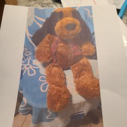 Brown N Black Fluffy Puppy