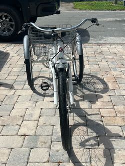 Schwinn adult tricycle