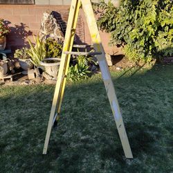 7 Ft Ladder