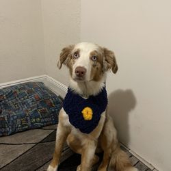 Handmade Crochet Doggy scarf