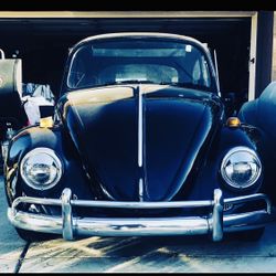 1965 Volkswagen