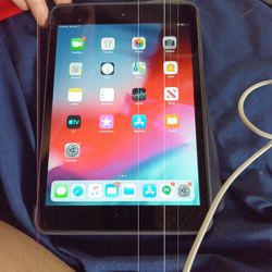 iPad Mini 