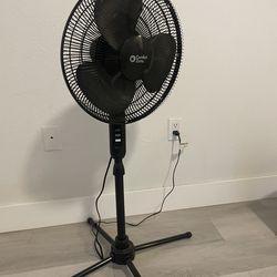 Fan