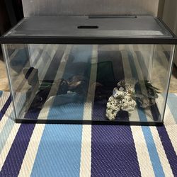 Fish tank (10 gallon)