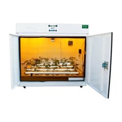 Northern Lights Grow Box 