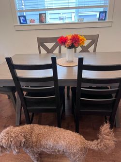 Dining room chairs