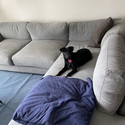 Sectional Couch 