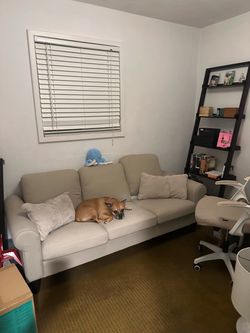 Beige Tan Couch