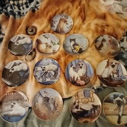 Porcelain decorative cat plates by Daphne Baxter : Limited Edition And Irene Spencer