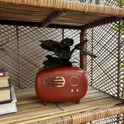 Super Cute Vintage Radio Pots With Plants!