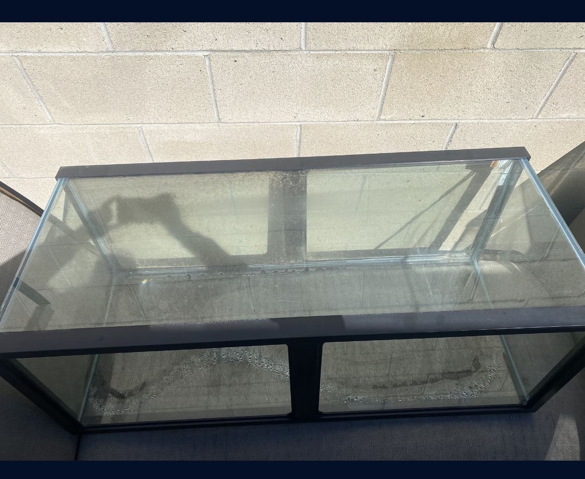 75 Gallon Tank
