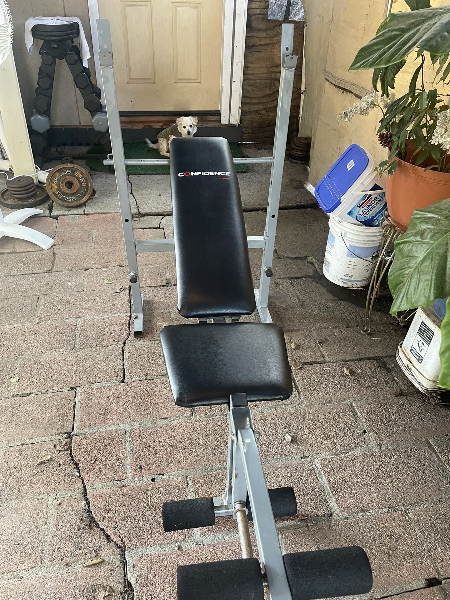 Adjustable Bench Press WITHOUT Weights Or Bar